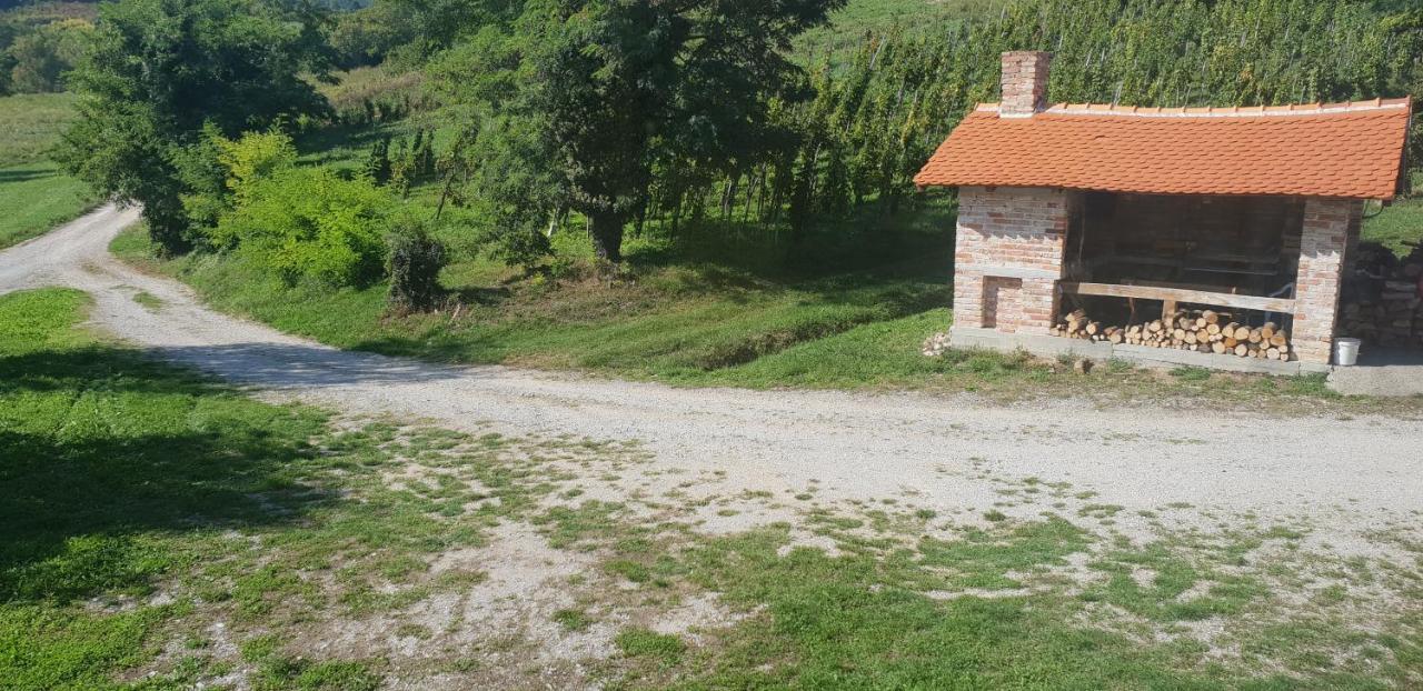 Klet Jana Bed & Breakfast Ястребарско Экстерьер фото